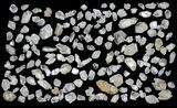 Flat: Clear Quartz Crystals (Morocco) - + Pieces #82340-1